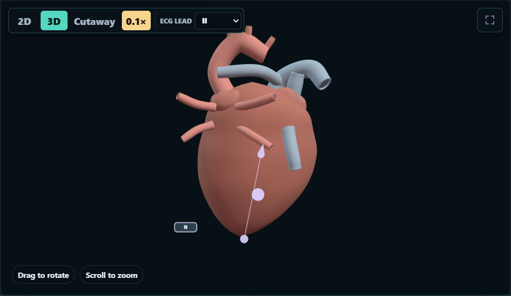 Three-dimensional heart teaching view with 0.1 times playback selected